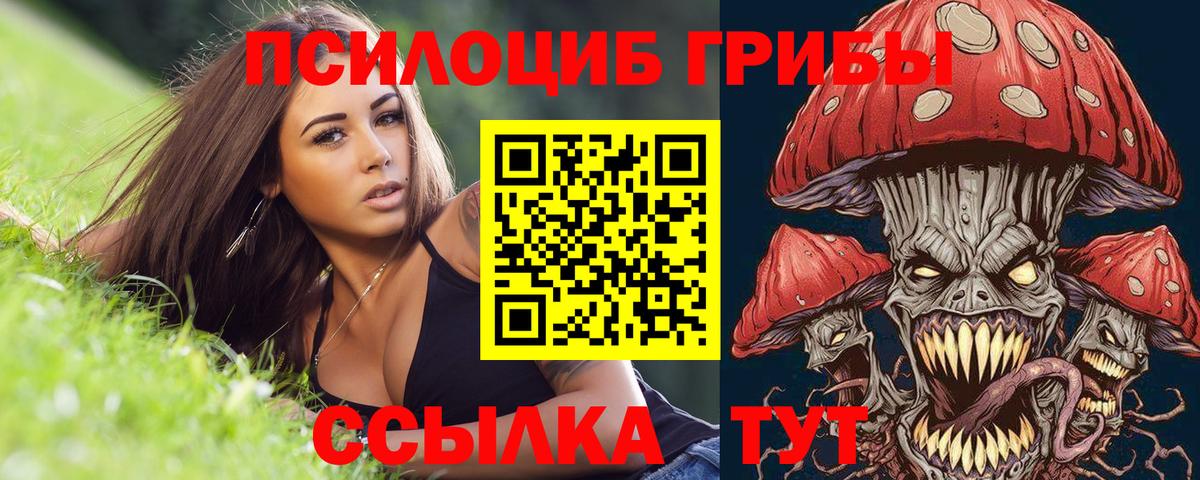Псилоцибиновые грибы ЛСД  Вход с VPN  купить   Сертолово 