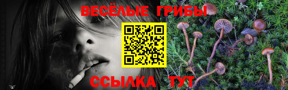 Псилоцибиновые грибы мухоморы Сертолово
